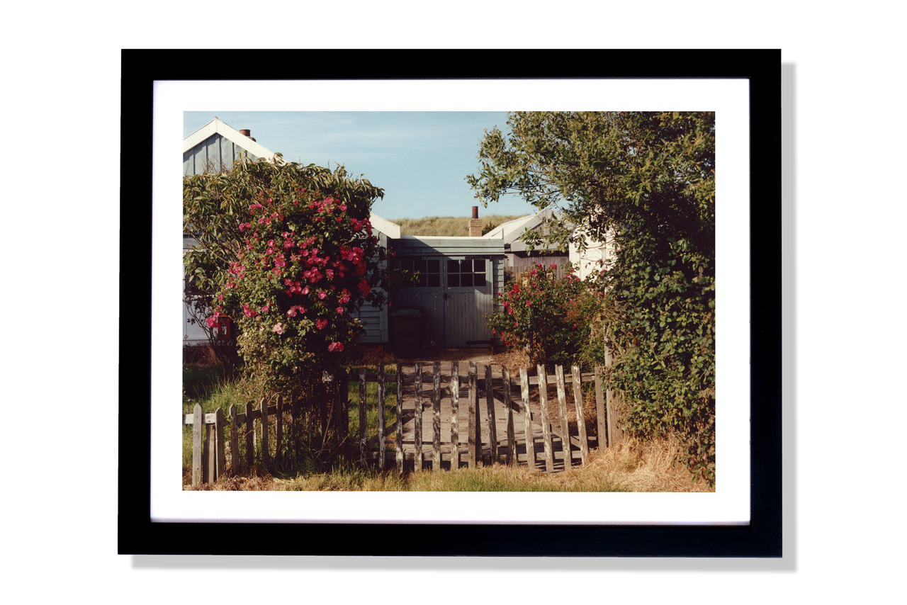 Untitled 1 - Charlie Biglin