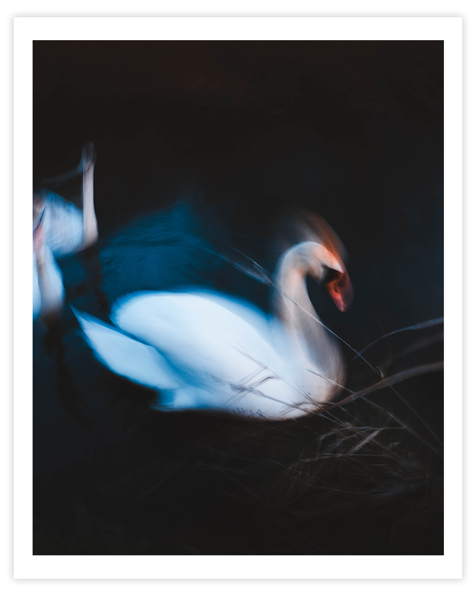 Archival Prints